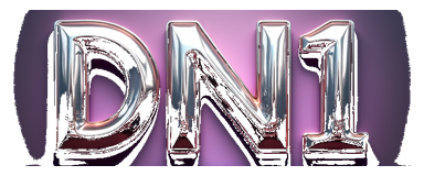 dn1 logo